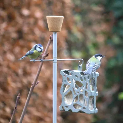 Unique bird feeding station