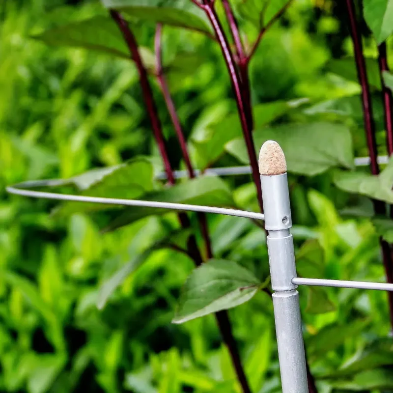 3-in-1 plant support