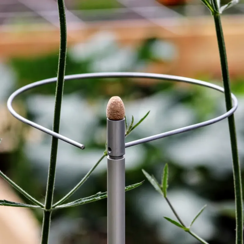 Ring-shaped plant support