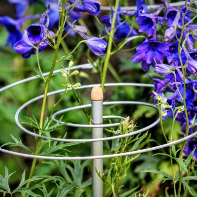 Spiral plant support