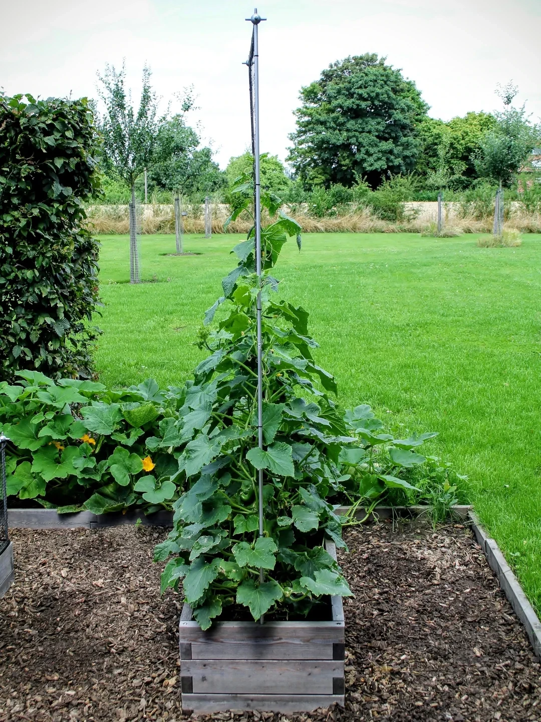 Bremermann Extra Plantenbord – Geschikt Voor Telescopisch Bloemenrek 61088 – Wit, Metaal/bamboe, Max. 2 Kg Per Bord