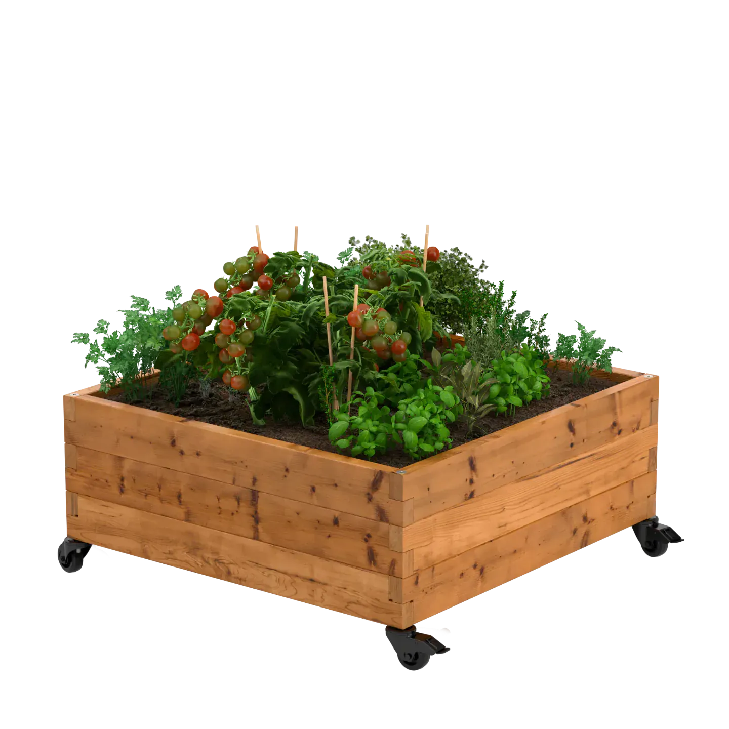 Holz-Hochbeet auf Rollen | Modulares und langlebiges Design | Aus Holz | Mobiles Hochbeet | WITBOSCH