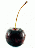 Aged Black Cherry Dark Balsamic Vinegar Aged Black Cherry Dark Balsamic Vinegar