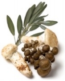 D'Olivo Wild Mushroom and Sage Infused Olive Oil D'Olivo Wild Mushroom and Sage Infused Olive Oil