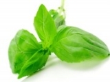 D'Olivo Organic Basil Olive Oil D'Olivo Organic Basil Olive Oil