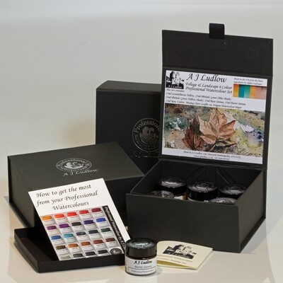 A J Ludlow Foliage and Landscape Professional Watercolour Mixing Gift set