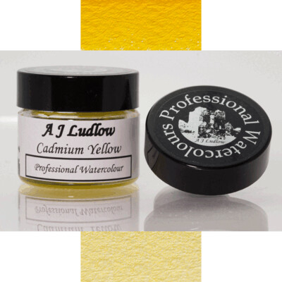 A J Ludlow Cadmium Yellow
Professional Watercolour