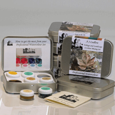 A J Ludlow Foliage and Landscape Professional Watercolour Mini Mixing Gift set