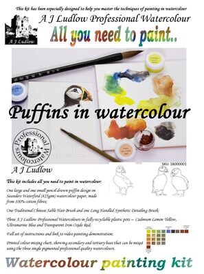 A J Ludlow Professional Watercolour Painting Set - Puffins on holiday (Kit A)
