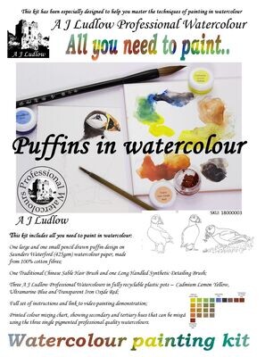 A J Ludlow Professional Watercolour Painting Set - Puffins, love is all around (Kit C)