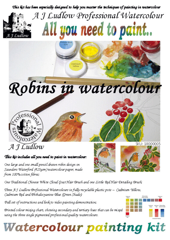 A J Ludlow Professional Watercolour Painting Set - Robins