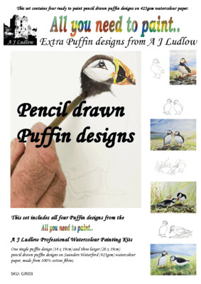 Extra Pencil Drawn Puffin Designs from the A J Ludlow Professional Watercolour Painting Sets