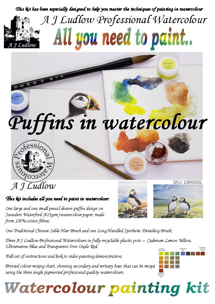 A J Ludlow Professional Watercolour Painting Set - Puffins on holiday (Kit A)