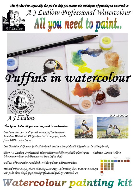 A J Ludlow Professional Watercolour Painting Set - Puffins on holiday (Kit A)