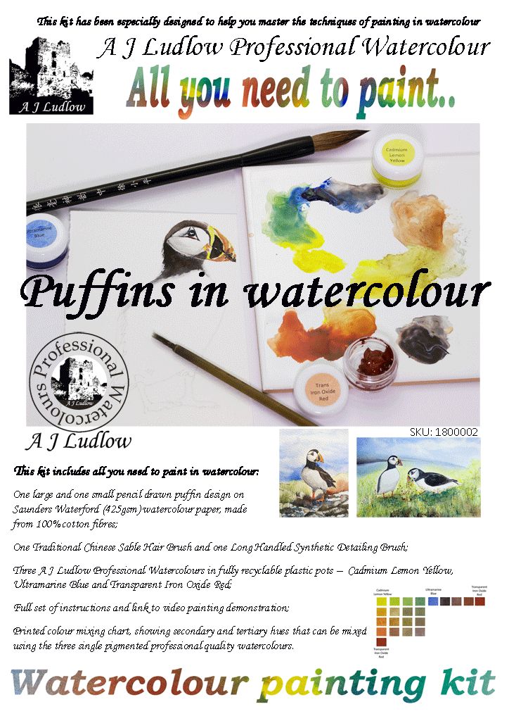 A J Ludlow Professional Watercolour Painting Set - Puffins, love is all around (Kit C)