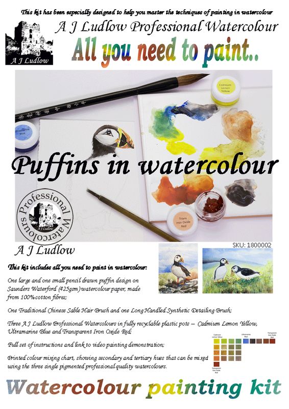 A J Ludlow Professional Watercolour Painting Set - Puffins, love is all around (Kit C)