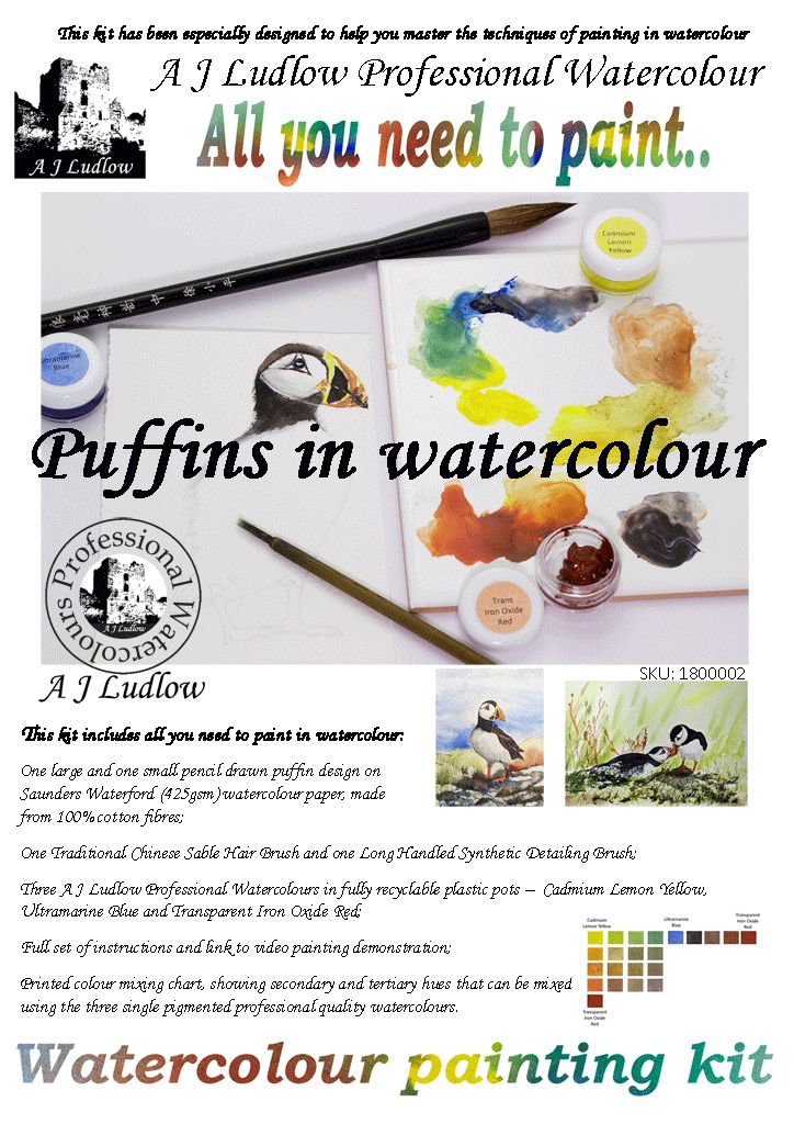 A J Ludlow Professional Watercolour Painting Set - Puffins hide 'n' seek (Kit B)