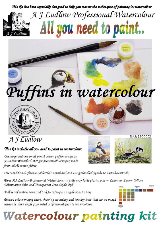 A J Ludlow Professional Watercolour Painting Set - Puffins hide 'n' seek (Kit B)