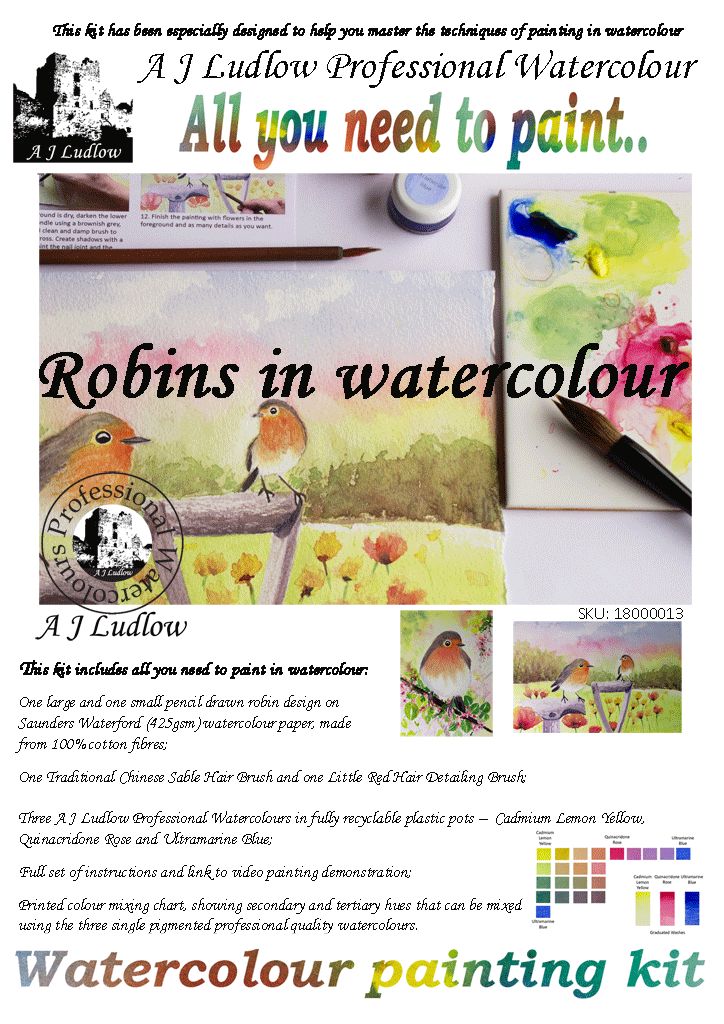 A J Ludlow Professional Watercolour Painting Set - Robins in Springtime