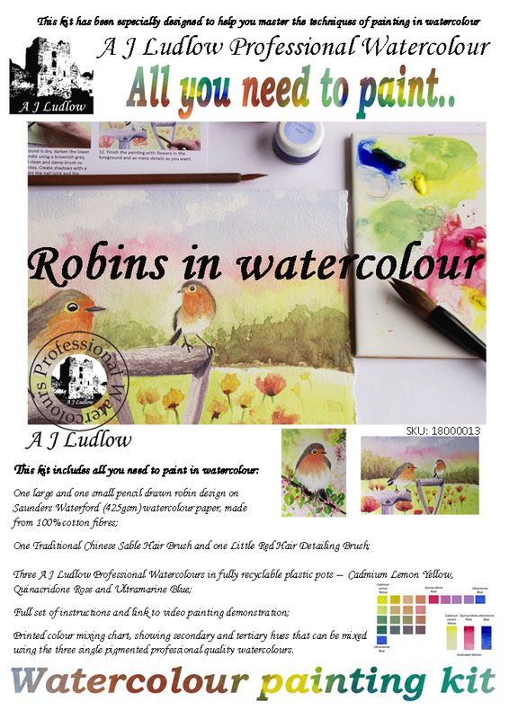 A J Ludlow Professional Watercolour Painting Set - Robins in Springtime