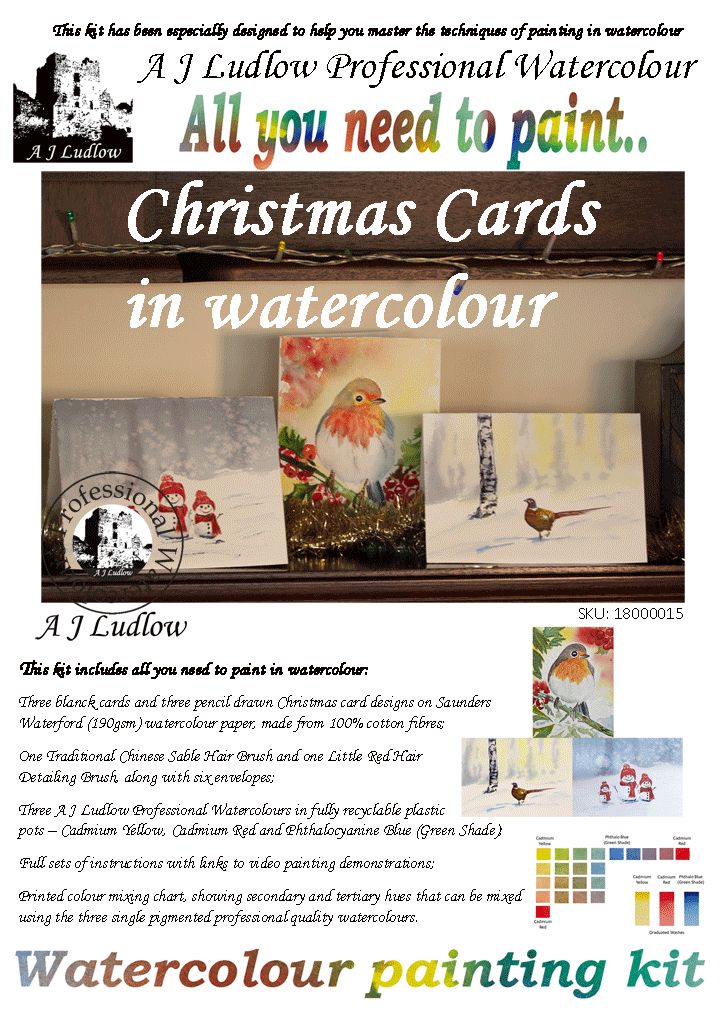 A J Ludlow Professional Watercolour Painting Set - Christmas Cards