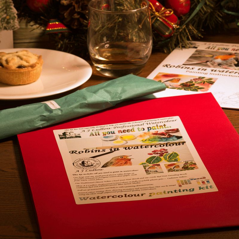 A J Ludlow Professional Watercolour Painting Set - Christmas Robins A J Ludlow Professional Watercolour Painting Set - Christmas Robins