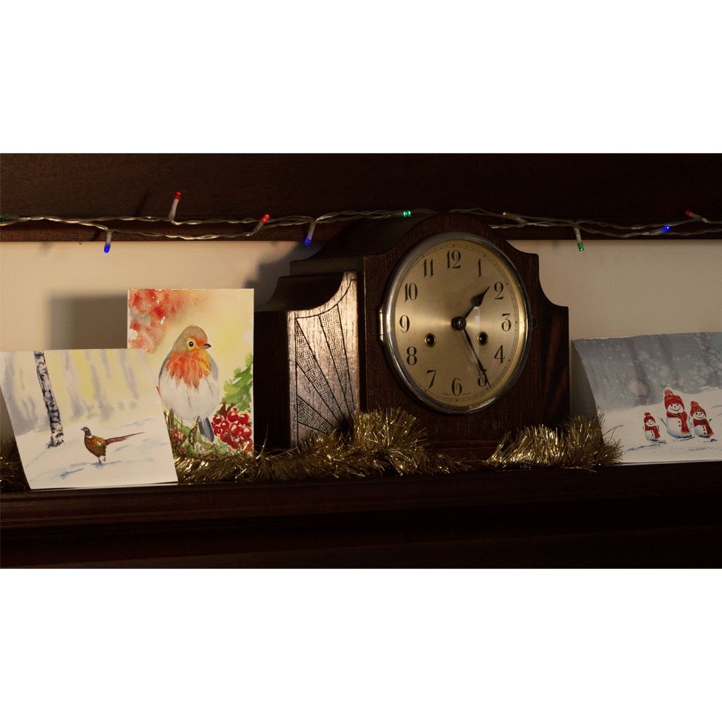 A J Ludlow Professional Watercolour Painting Set - Christmas Cards