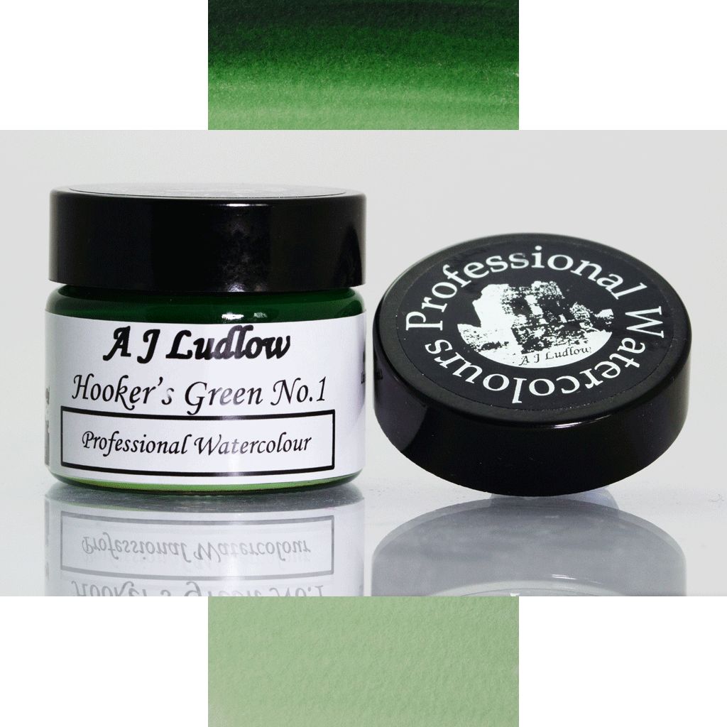 A J Ludlow Hooker's Green No1 Professional Watercolour