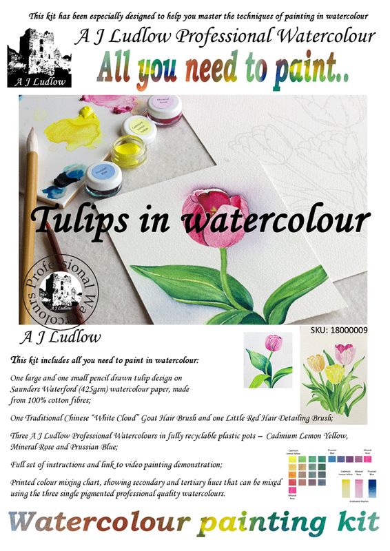 A J Ludlow Professional Watercolour Painting Set - Painting Tulips A J Ludlow Professional Watercolour Painting Set - Painting Tulips