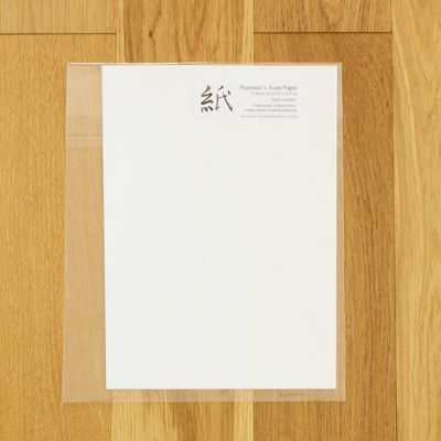 Beginner's Xuan Paper Sheet (partially treated surface) for Asian Painting, A4 Beginner's Xuan Paper Sheet (partially treated surface) for Asian Painting, A4