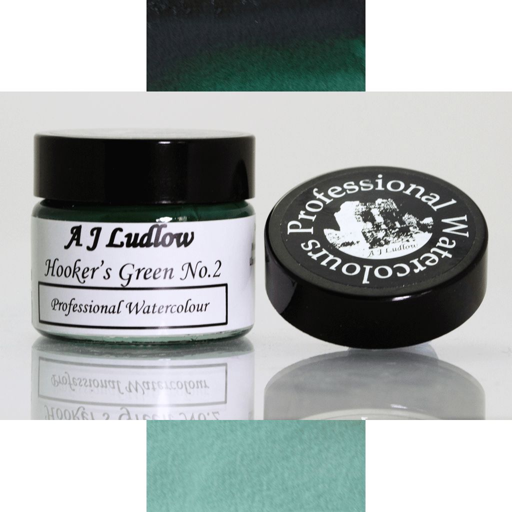 A J Ludlow Hooker's Green No2 Professional Watercolour