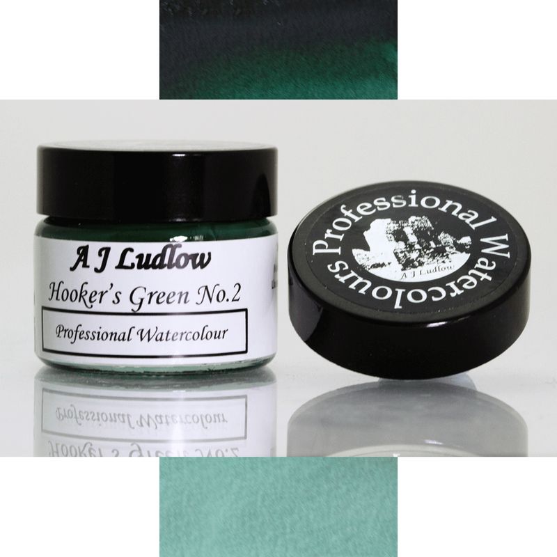 A J Ludlow Hooker's Green No2 Professional Watercolour