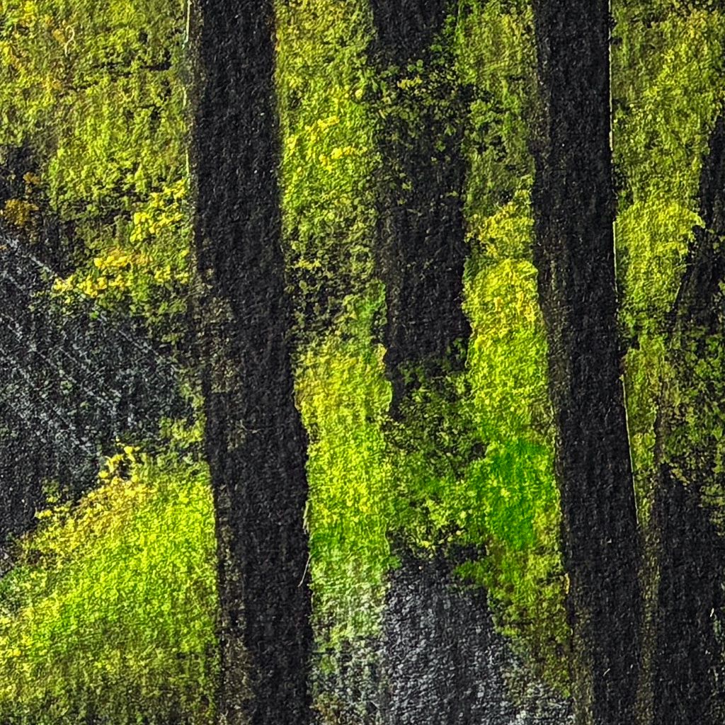 Fabriano Fabriano "Cromia" Black Light Fast Paper 6 sheets (50 x 32.5cm)