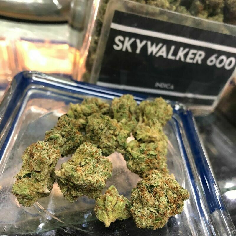 Sky Walker 600