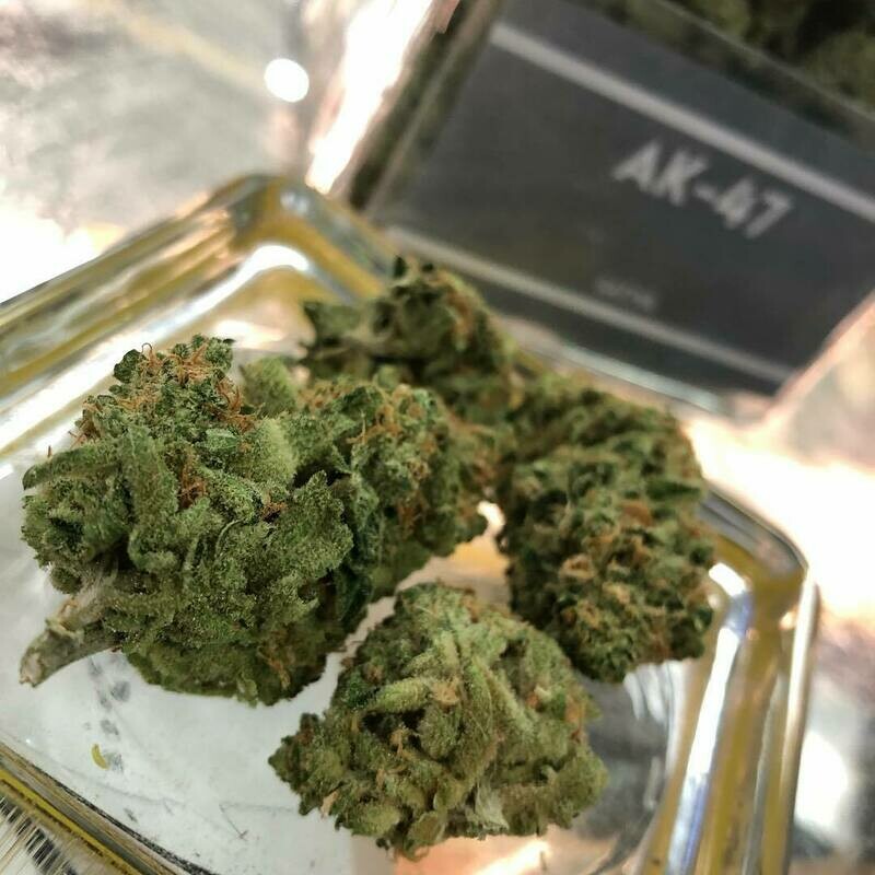 AK 47