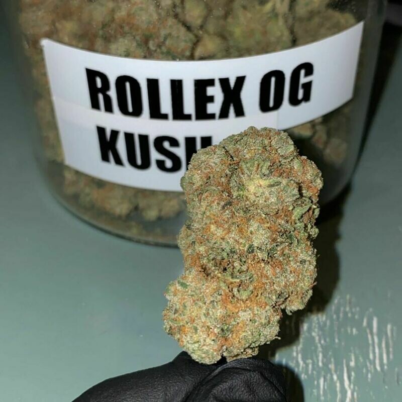 Rollex OG Kush