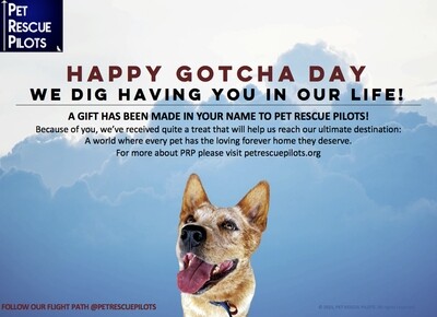 Happy Gotcha Day (Dog)