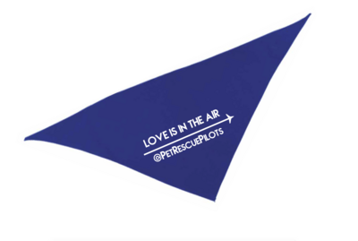 LOVE IS IN THE AIR Bandana