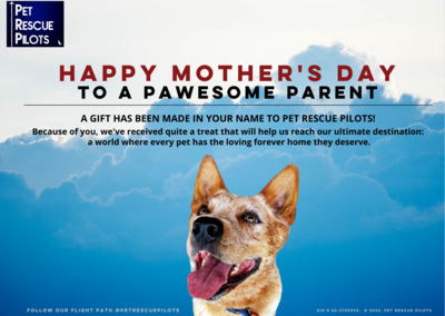 Happy Mother's Day - You're Pawesome