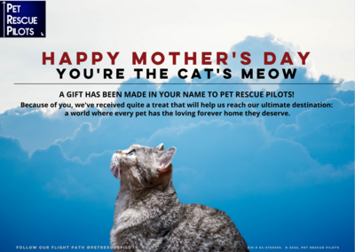 Happy Mother's Day - Cat's Meow