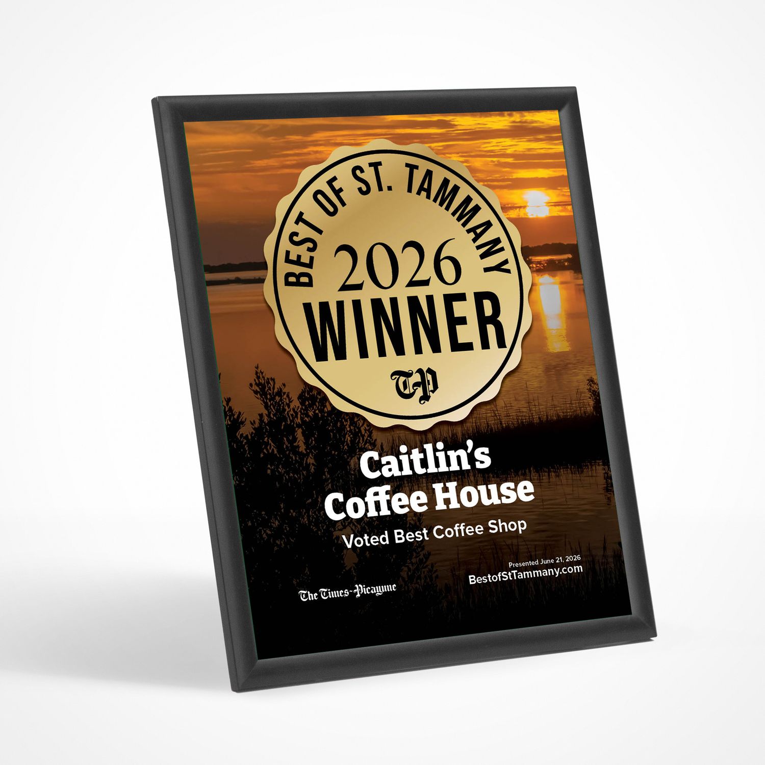 Winner's Modern Plaque