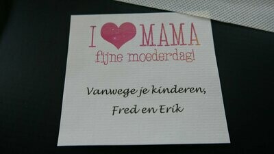 1 fles Magnum wijnbox