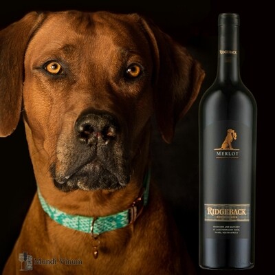 ridgeback merlot rode topwijn