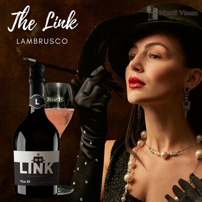 Ferro 13 - The Link Lambrusco