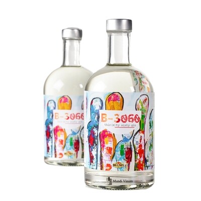 THE BERTEM GIN