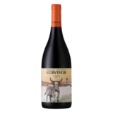 Survivor - Pinotage