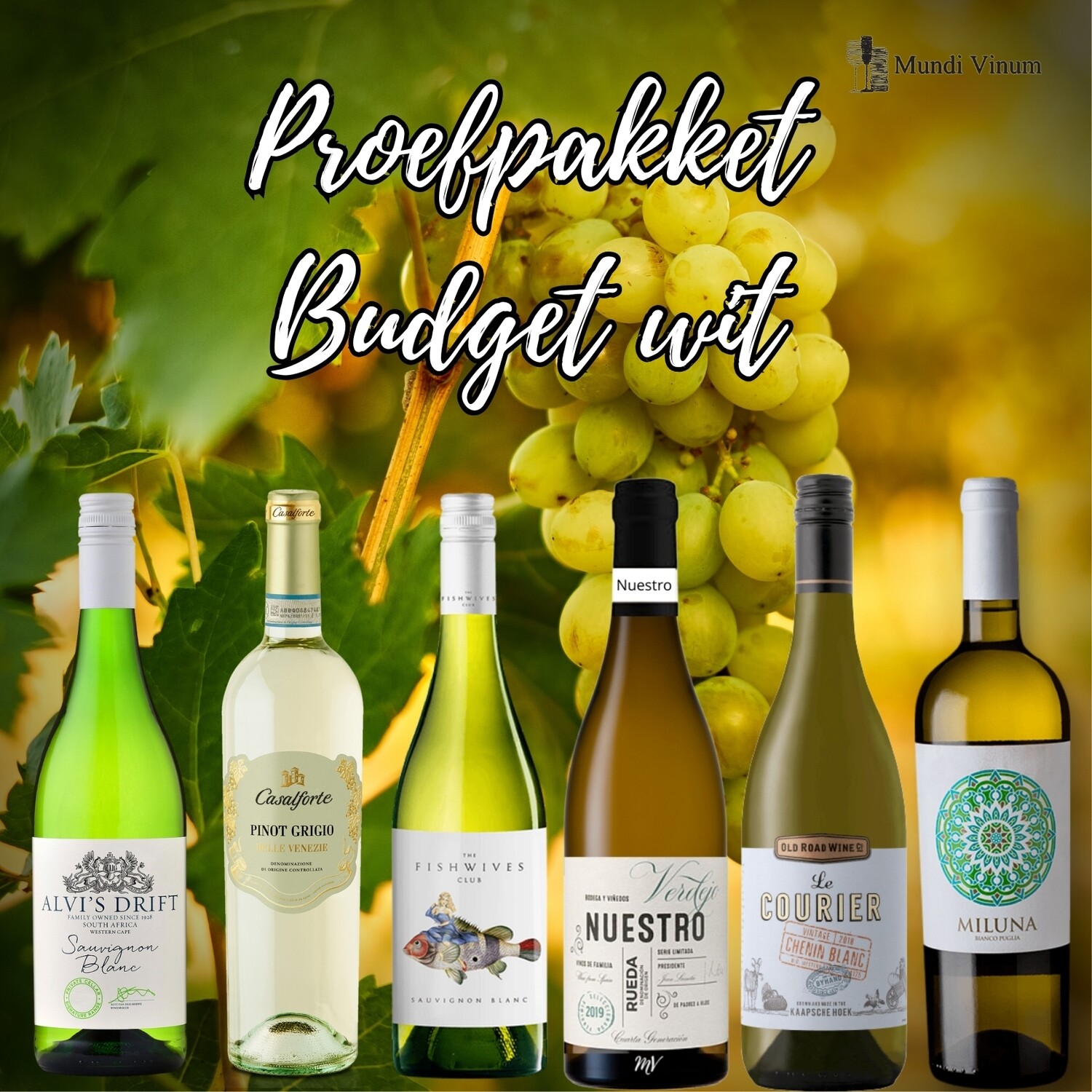 Proefpakket Budget wit