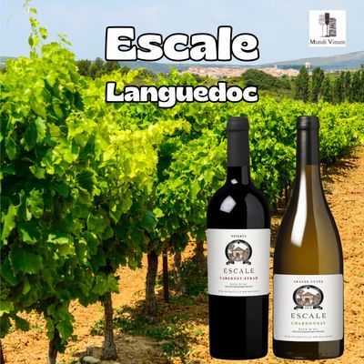 Escale
