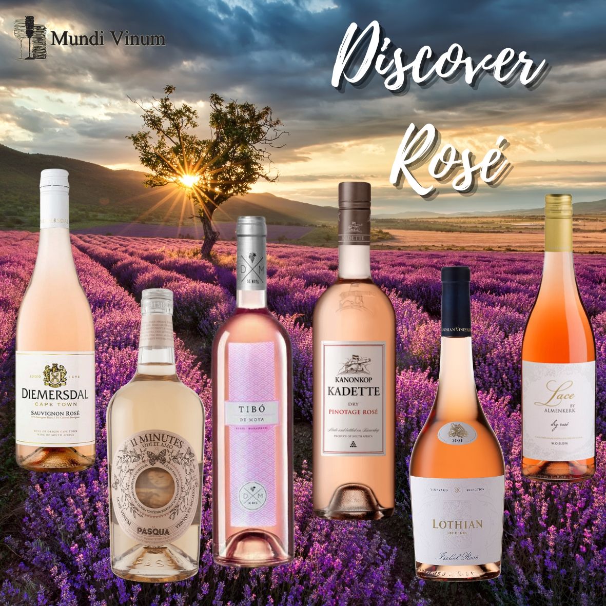 proefpakket discover rose rosé wijnen kopen / Handelsgids / wijnhandel Leuven