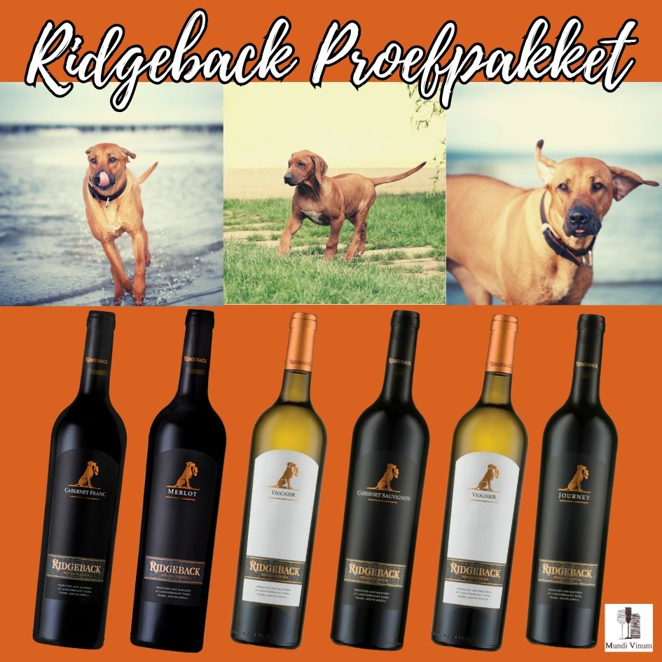 Ontdek het unieke Ridgeback wijnproefpakket met 6 zorgvuldig geselecteerde Zuid-Afrikaanse kwaliteitswijnen, verkrijgbaar bij www.mundi-vinum.be.. Ideaal als cadeau voor hondenliefhebbers of wijnkenners! Bestel nu en proef de kracht en elegantie van Ridgeback wijnen, geïnspireerd door de Rhodesian Ridgeback hond